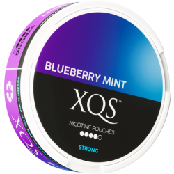 XQS Blueberry Mint Strong