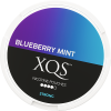 XQS Blueberry Mint Strong
