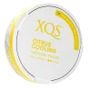 XQS Citrus Cooling Functional Pouches, smoking cessation, quit smoking, caffein pouches, caffeine pouches, xqs caffein pouches