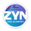 ZYN Slim Cool Blueberry 6 mg, zyn bulk orders, zyn pakistan bulk orders, paki zyns, blueberry zyns
