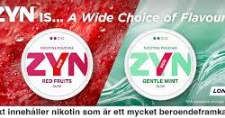 zyn 10 mix-pack, zyns mix, zyn discount, zyns discount, best zyn flavors, find your favorite zyn, zyn sale,