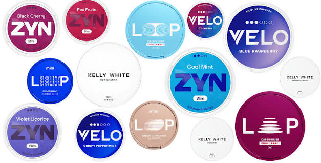한국 니코틴 파우치 직구 완전 가이드 — ZYN VELO White Fox 스웨덴제 무담배 합법 직구 DHL Express 한국 전역 배송 만 19세 이상
