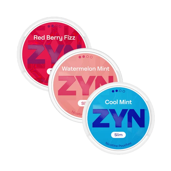 ZYN Cool Mint Mini Slim Menthol Ice S2 S3 S4 S5 S6 precios en Argentina — USD 4.12 por lata DHL Express 4–7 días hábiles pago VISA Mastercard