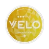 VELO Mango Ice nicotine pouches can — 8mg Strong tropical mango with menthol ice cooling