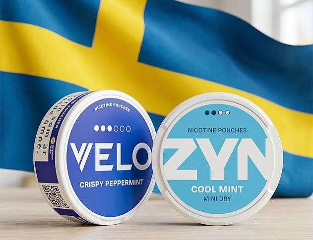 Nicotine pouches vs snus comparison — tobacco-free ZYN nicotine pouch can alongside traditional Swedish snus — oral nicotine products comparison guide 2026